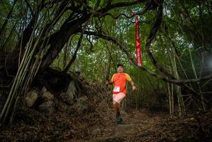 BIB: 
                            <button type="button" onclick="openModal(22177443)" class="btn btn-primary btn-sm float-right btn-popup" data-toggle="modal" data-target=".modal-high-quality">
                        <i class="fas fa-shopping-cart"></i> Add to Cart
                    </button>
                                            <button type="button" onclick="isThisMe(22177443, true)" class="btn btn-success btn-sm float-right btn-popup btn-isme hidden" data-toggle="tooltip" data-placement="bottom" title="นี่คือรูปของคุณใช่ไหม คลิกที่นี่เพื่อเอาเข้าอัลบั้ม">
                        <i class="fas fa-plus"></i> Add to album
                    </button>
                    <button type="button" onclick="isThisMe(22177443, false)" class="btn btn-warning btn-sm float-right btn-popup btn-isnotme hidden">
                        <i class="fas fa-ban"></i> Remove from album
                    </button>